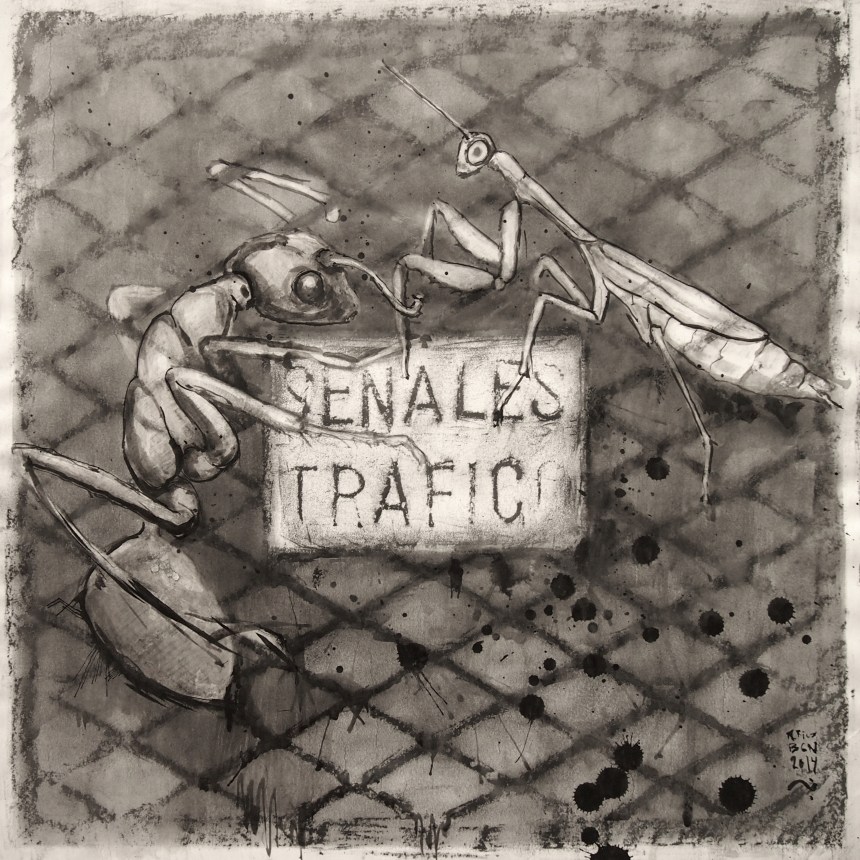 Señales tráfico (hormiga /mantis) / BCN 2014/grafito, ceras y tinta china sobre papel 80x80 cm