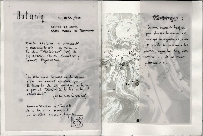 0020 Phototropy A(diario BOTANIC)