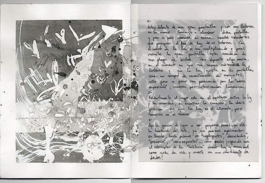 0022 Phototropy B (diario BOTANIC)